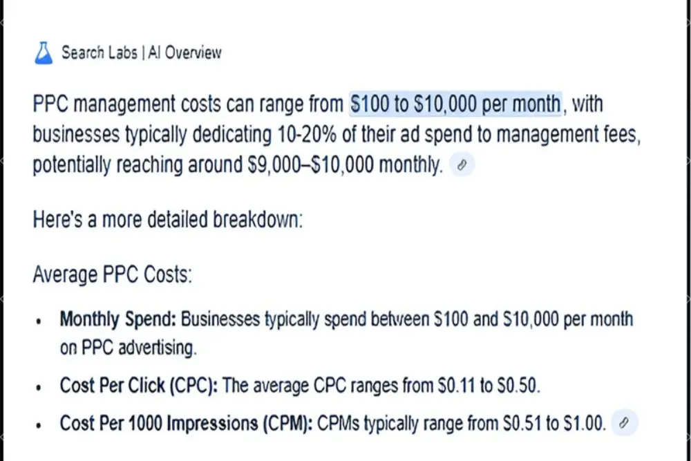 PPC Management Costs- Branxify