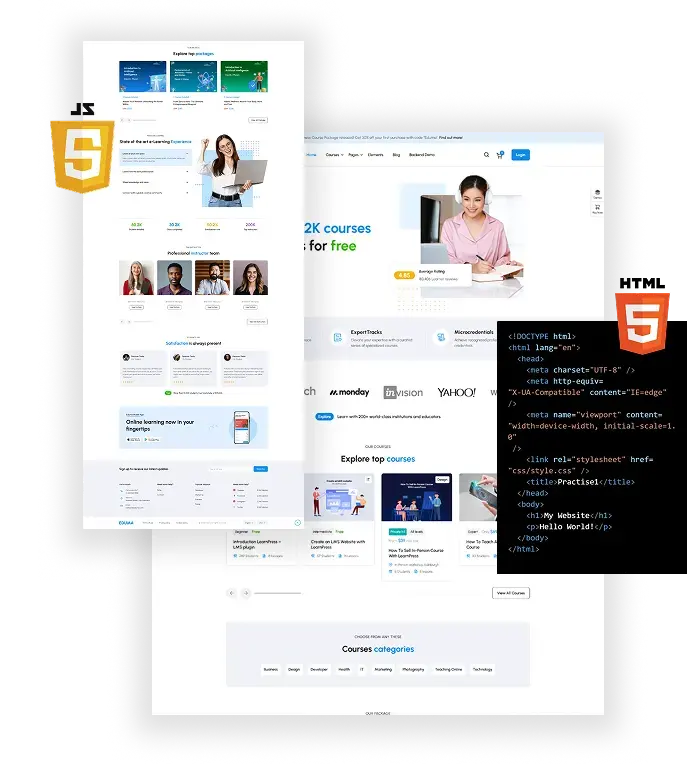 Custom Web Development_Branxify