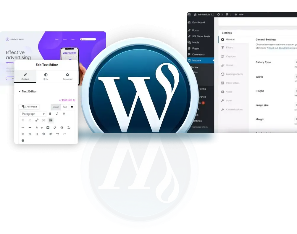 WordPress Development Company in New York By Branxify
